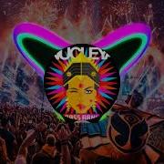 Nucleya Bass Rani Mumbai Dance Song