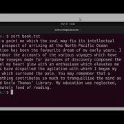 SORT Command In Linux Sorting File Contents