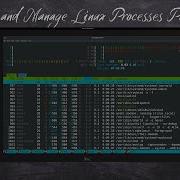 Master Linux Process Management Part II
