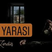 Gül Yarası HiraiZerdüş