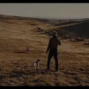 2018 In Film Movie Mashup