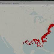 What Are Webmap Basemaps