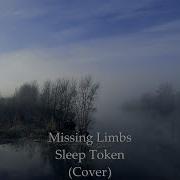 Missing Limbs Sleep Token Cover By StrayRyn