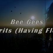 Bee Gees Spirits Having Flown Lyrics