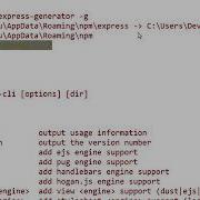 Installing And Using Express Generator