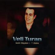 Veli Turan Pülümürün Yolları