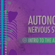 Autonomic Nervous System Crash Course Anatomy Physiology 13