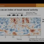 NeuroHackademy 2023 Liberty Hamilton Processing Intracranial Data With MNE Python