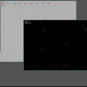 Asteroids For Plan 9 β