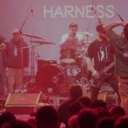 Harness FULL SET Sound And Fury 2017 6 9 17