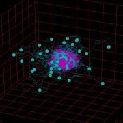 Karenina Spatial Ornstein Uhlenbeck Simulation Video