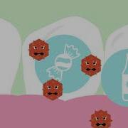 Bacteria In Your Mouth