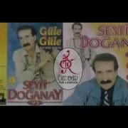 Delikanlı Gibi Seyfi Doğanay
