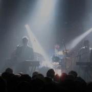 Baxter Dury Isabel Live