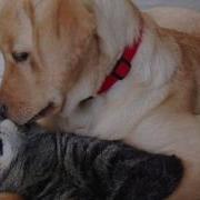 Lucky Jason Mraz Ft Colbie Caillat Music Video