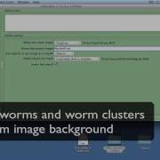 Pipeline 2 CellProfiler Tutorials