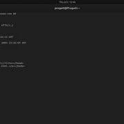 API Request Using Telnet