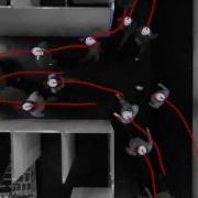 Pedestrian Dynamics Experiment Pedestrian Tracking PeTrack Software