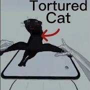 Torturing My Virtual Cat Bc I Can In Hand Physics Lab THIS IS A GAME