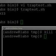 BASH Scripting Lesson 8 Using TRAP To Control Scripts