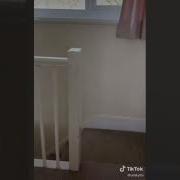 The Toilet Is Smoking TikTok Kristinevl