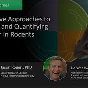 Innovative Approaches To Tracking And Quantifying Behavior In Rodents