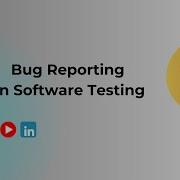 Bug Reporting In Software Testing QANexus