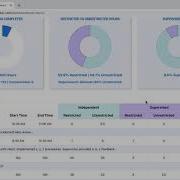 Total And Monthly Hour Summary Ripley ABA Fieldwork Tracker BACB Compliant