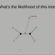 Computing The Phylogenetic Likelihood
