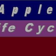 Applet Life Cycle In Java In Hindi
