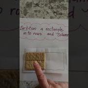 Geometry Math Talk Partitioning A Rectangle