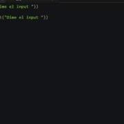 Validating Input From User In Python Mastery 29