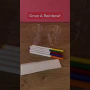 Grow A Rainbow STEM For Kids Science Experiment Shorts