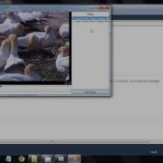 VB Net 2010 How To Make Media Player Video Player