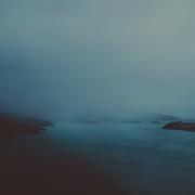 Blackbird Deep Rain