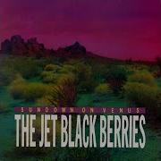 THE JET BLACK BERRIES Shadow Drive