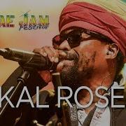 Майкал Роуз на концерте Reggae Jam 2017