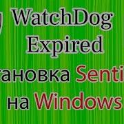 Watchdog Expired Установка Sentinel для мастерноды на Windows