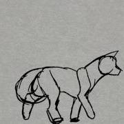 Wolf Walking Animation Test