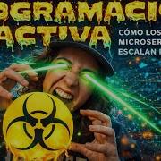 Programación Reactiva En Spring Boot Cómo Los Microservicios Escalan Realmente