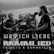 RAMMSTEIN WAS ICH LIEBE RAMMLIED BAND COVER