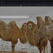 CodeWars Fundamental JavaScript Break CamelCase