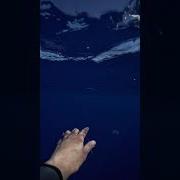 Would You Swim Alone In The Deep Thalassophobia Ocean Hawaii Kona Pacificocean Diver