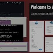 WordPress Installation With A Single Script On Linux 2023