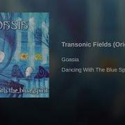 Transonic Fields Original Mix