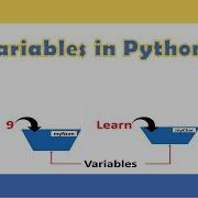 Учебник по Python 4 Переменные в Python Python для начинающих Learnerea