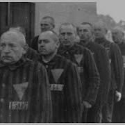The Pink Triangle Prisoners The Nazis Persecution Of Homosexual Men
