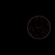 Charged Particles Simulation In Python 4