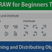 CorelDRAW For Beginners Aligning And Distributing Objects Tutorial