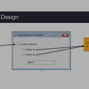 Ex 2 Radio Buttons And Checkboxes Controls In Iron Python